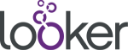 looker-logo-png-transparent